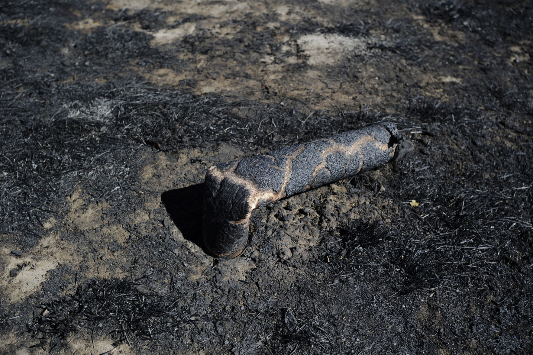 A water testing site was burned
